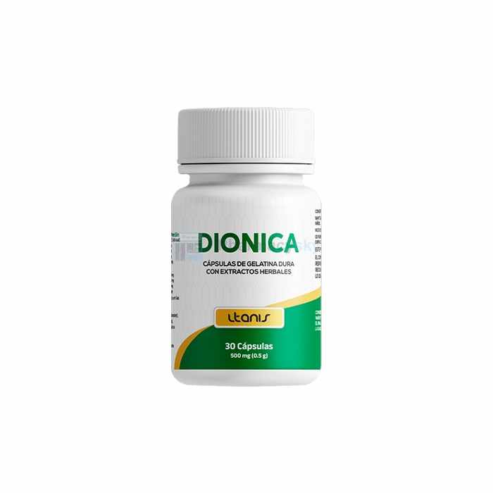 Dionica